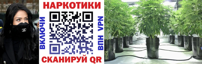 Псилоцибиновые грибы Байкальск