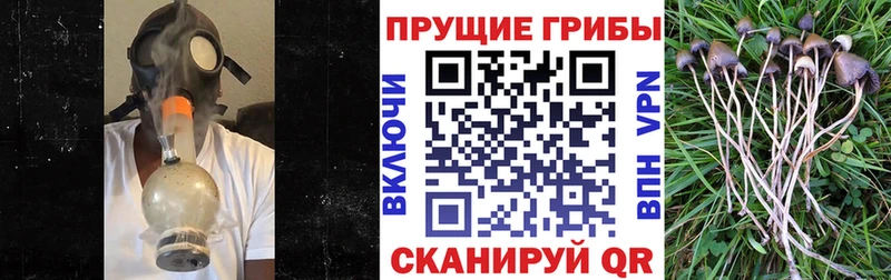 гидра ТОР Байкальск Псилоцибиновые грибы мухоморы закладки